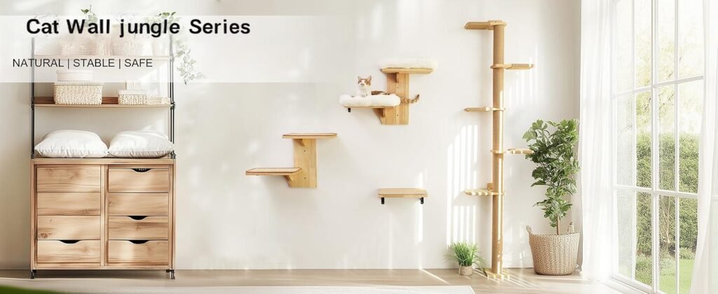 cat climb jump shelf